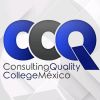 Quality College México logo - Similar company to Leimon Publicitarios