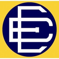 Diesse Electra S.p.a. logo - Similar company to E Solution Srl