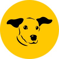 Dogs Trust logo - Similar company to Tails.Com | B Corp