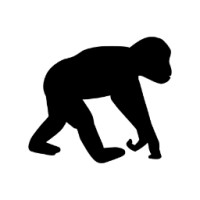 Primate Capital logo - Similar company to Ivery Group