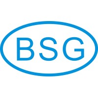 BSG Auto Glass logo - Similar company to Ae Wiring