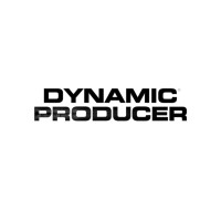 Dynamic Producer logo - Similar company to Breaker Nation