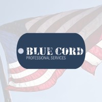 Blue Cord Professional Services logo - Similar company to Blue Cord Devgroup, Llc
