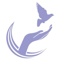 Illinois Coalition Against Domestic Violence logo - Similar company to Resilience