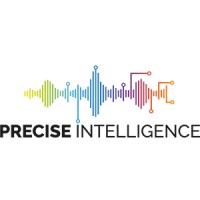 Precise Intelligence Ltd logo - Similar company to Precise