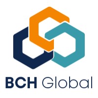 BCH Global logo - Similar company to Bch Global Global Consulting Services