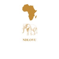 Ndlovu Leadership Consulting logo - Similar company to Fundbild Capital Partners