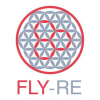 FLY-RE Reinsurance Marketplace logo - Similar company to Sutton Reinsurance