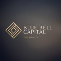 Blue Bell Capital Pvt. Ltd. logo - Similar company to Blue Bell Engineering Solutions Pvt.Ltd