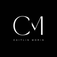 Morin Analytics logo - Similar company to Approachable Systems
