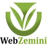 Webzemini Software Pvt. Ltd. logo - Similar company to Cloud Captains