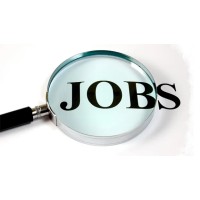 Free Internships and job updates logo - Similar company to Free Internships