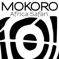 MOKORO TOURS logo - Similar company to Itinera Experience