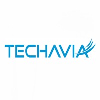 TECHAVIA TECHNOLOGIES logo - Similar company to Seiten®