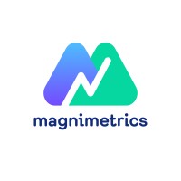 Magnimetrics logo - Similar company to Nemesis Software