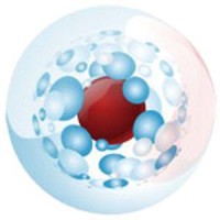 Ооо Центр Экономических Проектов