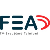 FEA-Net logo - Similar company to Swann Studio