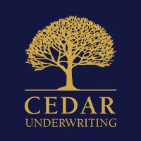 Cedar Underwriting logo - Similar company to Akonihub