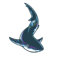 Pipefin logo - Similar company to Fleeet