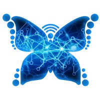 Indina-Consulting Innovation Academy in Silicon Valley logo - Similar company to Actyc