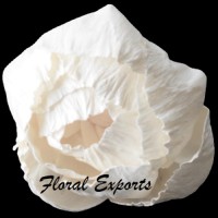 Floral Exports logo - Similar company to Ilkin Company / شرکت ایلکین