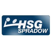 HSG Spradow logo - Similar company to Fairflock