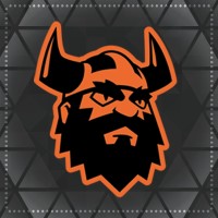 Big Viking Games logo - Similar company to Digital Extremes