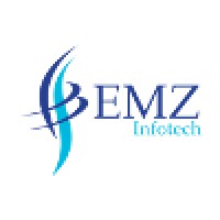 EMZ Infotech logo - Similar company to Techsalo Infotech