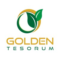 Golden Tesorum logo - Similar company to Visa Business Plans