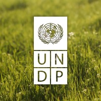 UNDP Uzbekistan logo - Similar company to Kursiv Uzbekistan