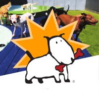Every Dog Has Its Day Care logo - Similar company to Powderly Meadows - Horse Trail Rides, Dog Day Care, Dog Boarding