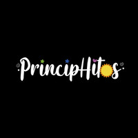 PrincipHitos logo - Similar company to Corporación Educacional Emprender