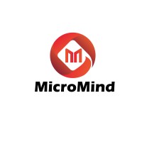 MicromindTech logo - Similar company to Micromind Solution