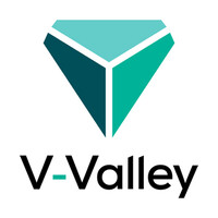 Valley Advanced Solutions España logo - Similar company to Esprinet Group