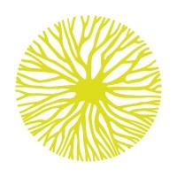 İlmek Koleji logo - Similar company to Doru Koleji