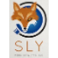 Sly Media Networks Llc