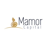 Mamor Capital logo - Similar company to Small Enterprise Foundation