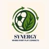 Synergy- DBE logo - Similar company to Bluechips