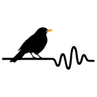Blackbird Acoustics Limited logo - Similar company to Pd