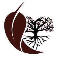 Systole Consulting, Llc