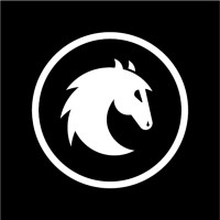Checkmate Digital logo - Similar company to Rustic Security Llc