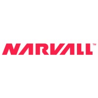 Narvall logo - Similar company to Analytects