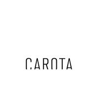 Carota Studio logo - Similar company to Gigastudio Srls