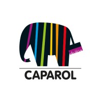 Caparol Italia logo - Similar company to Caparol