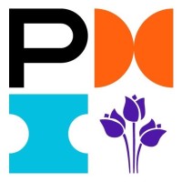 PMI Netherlands Chapter logo - Similar company to Pmi Hampton Roads Chapter