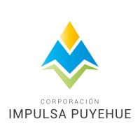 CORPORACION IMPULSA PUYEHUE logo - Similar company to Eetestudio
