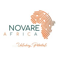 Novare Africa logo - Similar company to Demisize