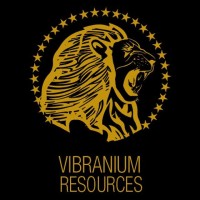 VIBRANIUM RESOURCES logo - Similar company to Hawi Software Solutions