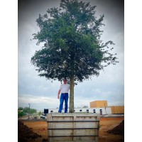 PATE LANDSCAPE COMPANY logo - Similar company to Standard Commercial Roofing & Envelope Solutions