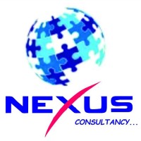 nexus consultancy logo - Similar company to Nexus Consultancy